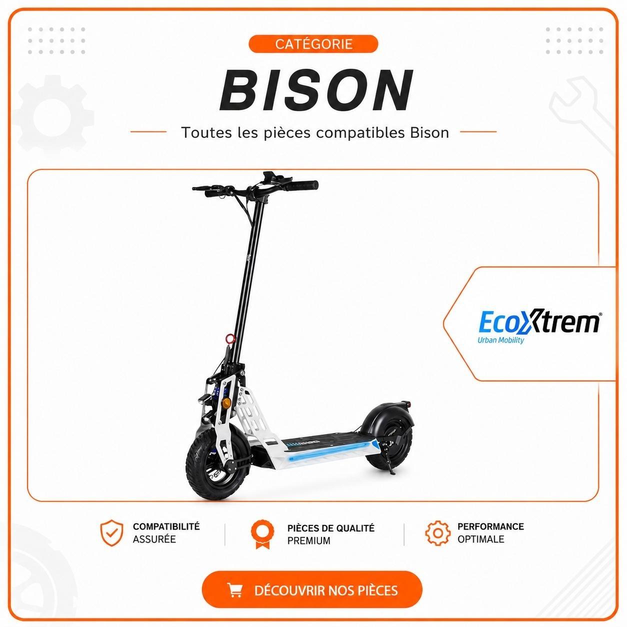 Bison