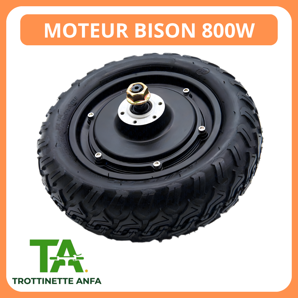 Moteur Bison 800W