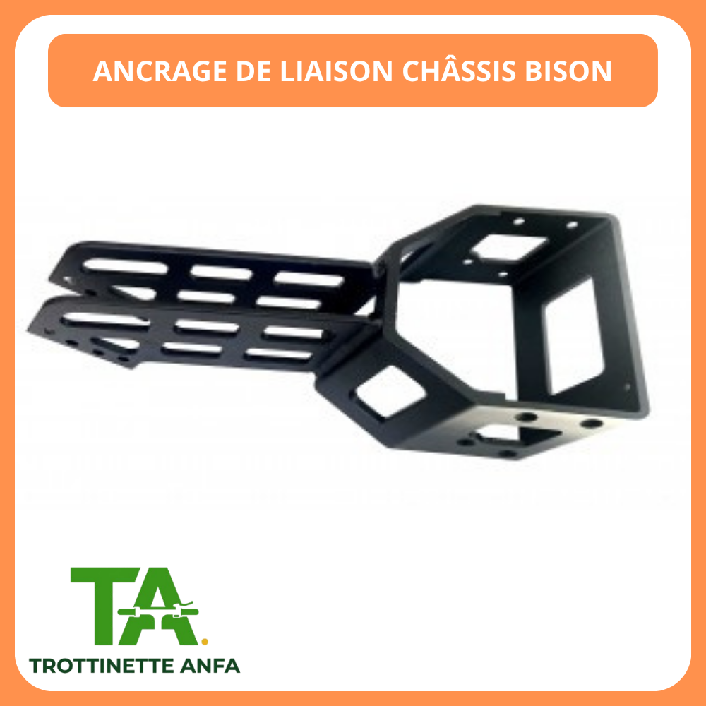 Moteur Bison 800W