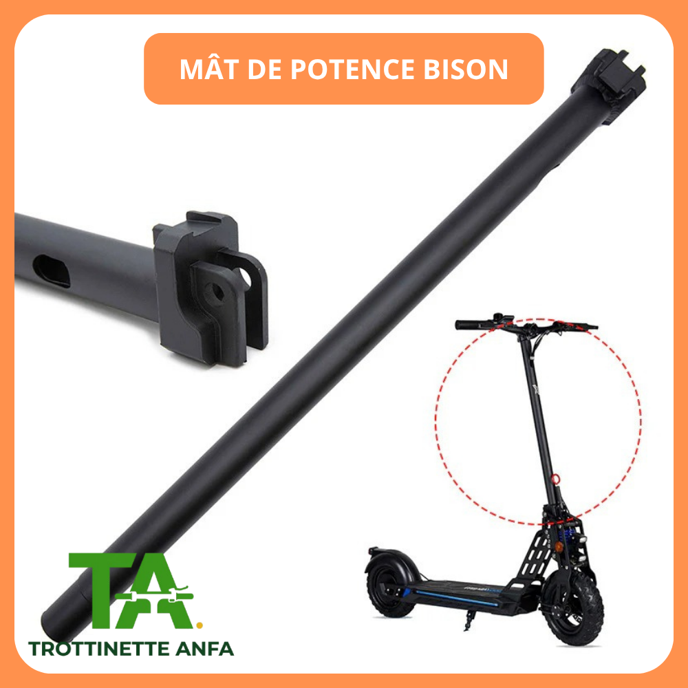 Moteur Bison 800W
