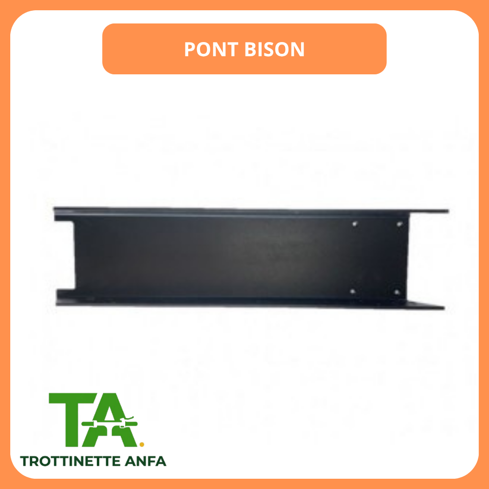 Moteur Bison 800W